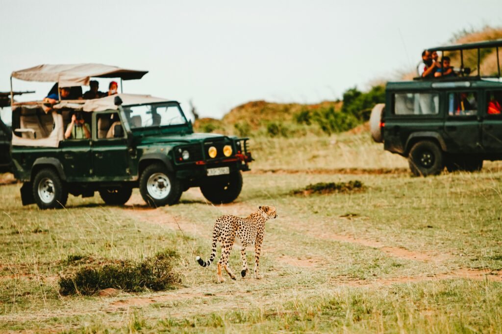 Udawalawe National Park